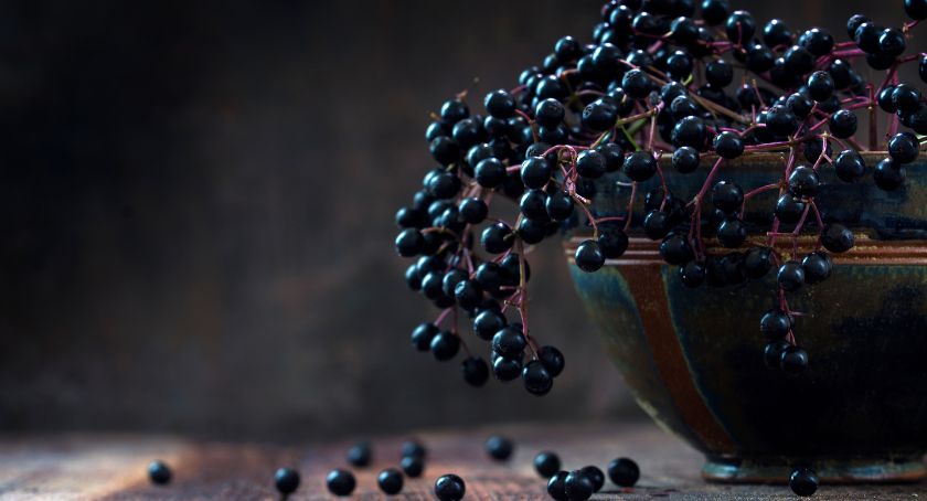 Opportunities for Berries and Botanicals in Consumer Health Products